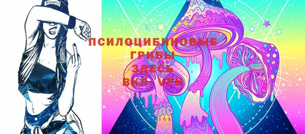 крисы Армянск