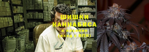 крисы Армянск