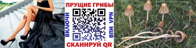 Псилоцибиновые грибы MAGIC MUSHROOMS  mega ссылка  Спасск-Дальний 